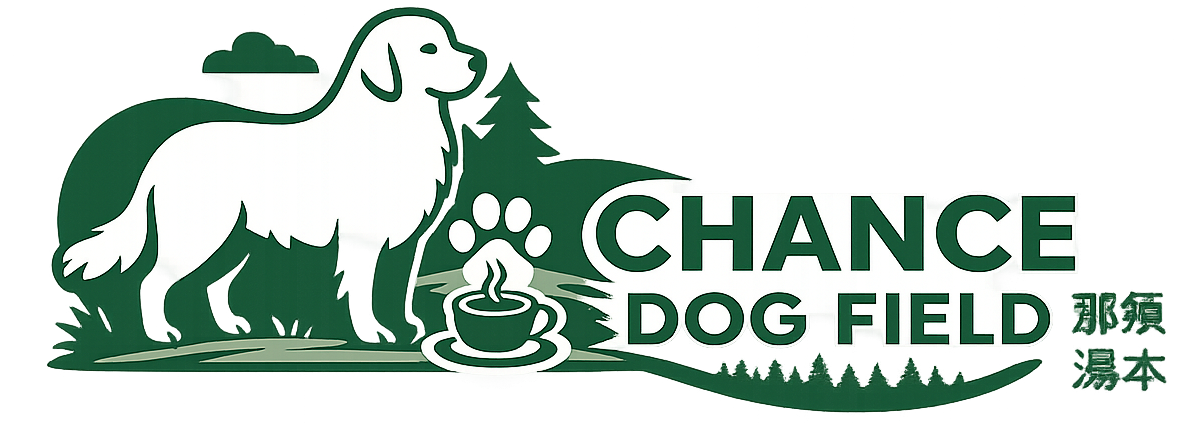 CHANCE DOG FIELD(チャンスドッグフィールド)